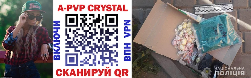 где найти   Мышкин  Alfa_PVP СК КРИС 