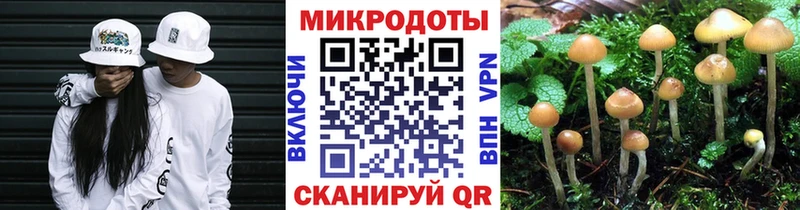 где можно купить наркотик  Мышкин  Галлюциногенные грибы мицелий 
