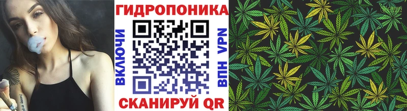 Бошки Шишки индика  Мышкин 